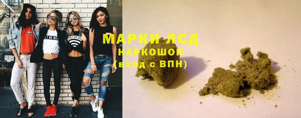 стаф Осташков