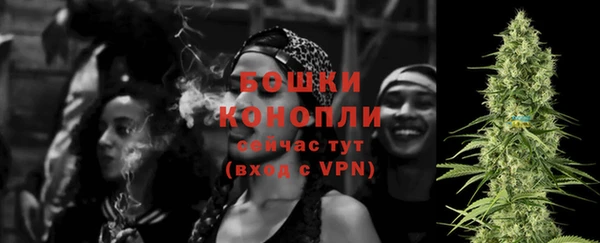 прущие крисы Няндома