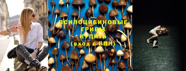 сатива Нязепетровск