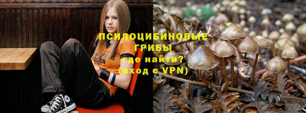 ешки Остров