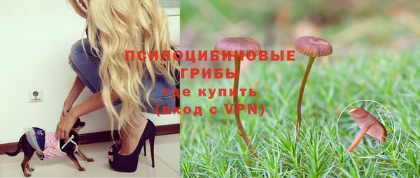 а пвп мука Нягань